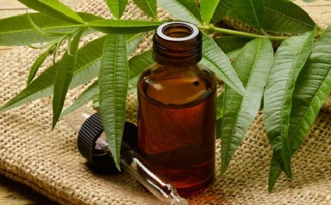 Tea tree oil - un rimedio popolare per rimuovere le verruche sul pene