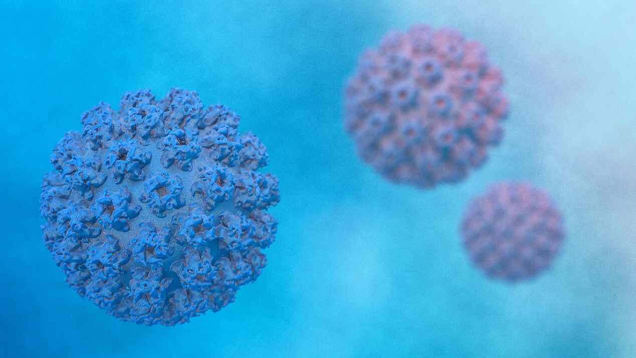 Virus del papilloma