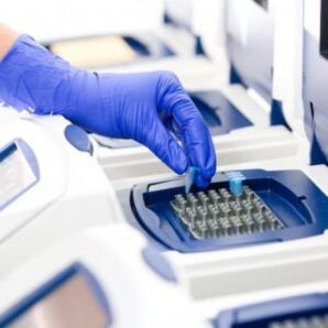 Analisi PCR
